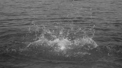 Germany - Herzogstand - Herzogstand - Heimgarten Ridge | A Magical Experience | Walkshop Light | German Alps | - 21