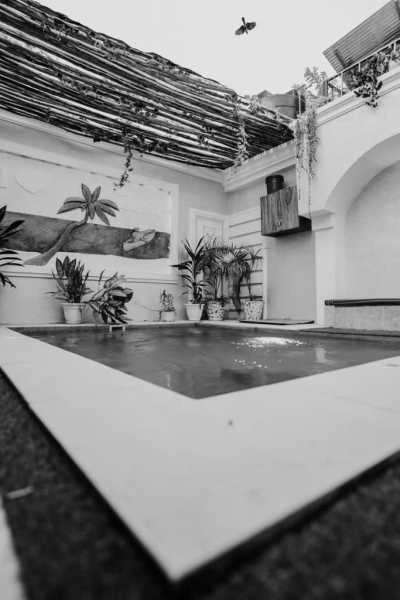 Tanzania - Julius Nyerere International Airport - Zanzibar and Mbudya: A Beach Paradise with Rich History and Delectable Food in Tanzania - 2