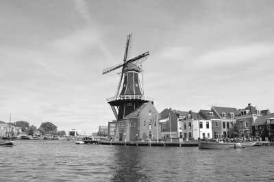 Netherlands - Haarlem - Explore the Beauty of Amsterdam and Dutch Nature: Unveiling the Delights of Amsterdam and its Surroundings - 1