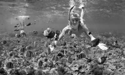 Indien - Lakshadweep - Lakshadweep Islands, India - An adventurous intro to the sea! - 11