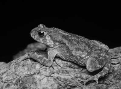 Sri Lanka - Tissamaharama - Tropical Roundtrips: Discovering Sri Lanka's Wonders - 2