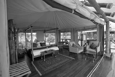 Kenia - Mara North Conservancy Airstrip - Kenya Adventure Safari + Beach Stay (private room fits 1 pax) - 3