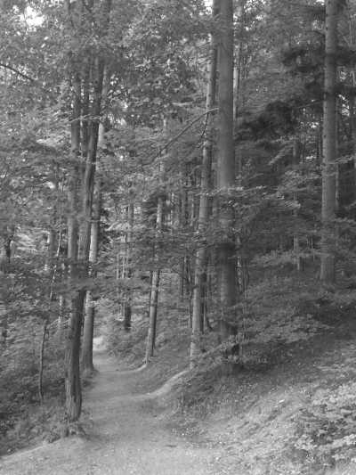 Eastern Europe - Žítková - Feel your heart beating and relax your mind; mountain hiking, horsback riding in Czechia, Slovakia and Poland - 8