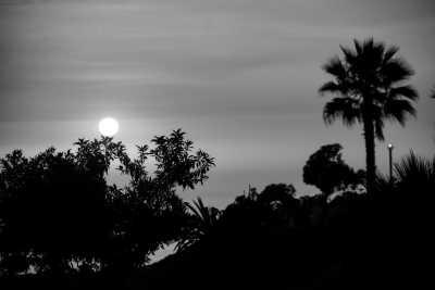 Peru - Lima - LIMA - CoWork Program -  Food Capital of Southamerica -  Local tours and Experiences Included - 2