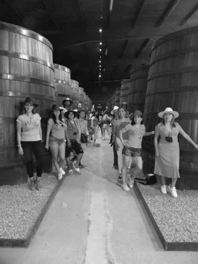 Mexico - Guadalupe - Mexican Wine, Dine, and Fun: A Local Journey to Indulge in the Flavors of Mexico - 3