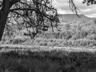 Argentinien - El Bolsón - Hands-On Patagonia Adventure: Off-Grid Living, Hiking & Skill-Building - 1