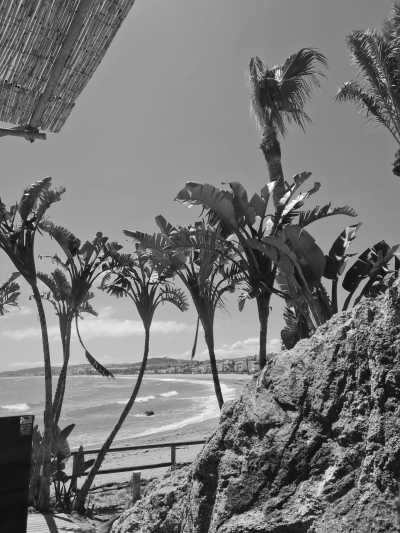 Spanien - Marbella - Auszeit vom November mit Freundinnen im Süden von Spanien - 2