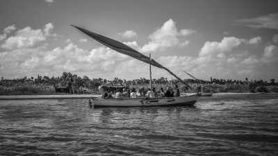 Egypt - Qarun Lake - Fayoum, Egypt: Immerse Yourself in Nature for a Memorable Getaway - 2