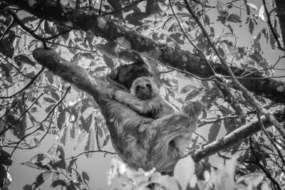 Panama - Calzada de Amador - Endless Summer Co-Working in Panama City, Central America: 2-Week Retreat ☀️🌴 - 1