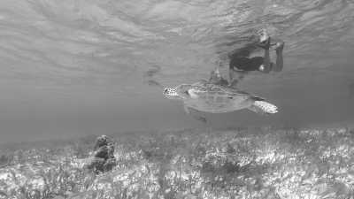 Karibik - Tobago Cays Marine Park - Family Sailing Trip: Grenada, Carriacou and Tabago Cays - 1