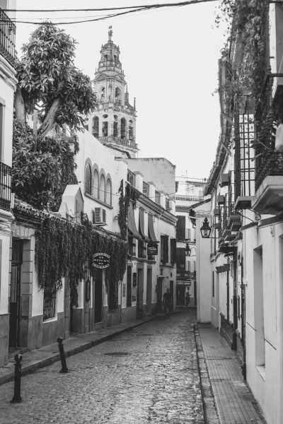 Spanien - Córdoba - New Year's Trip Through Andalusia, Spain: 🎆☀️Seville, Cordoba and Malaga - 3