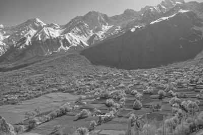 Pakistan - Chundah - Spring Blossom Trip To North Pakistan