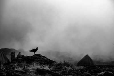 Tanzania - Mweka gate - Mount Kilimanjaro Trekking (Machame route) in Tanzania - 2