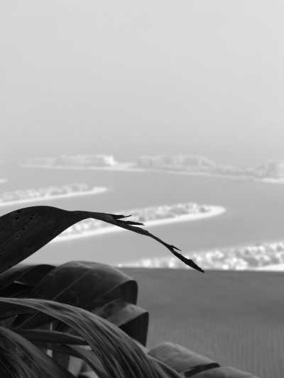 United Arab Emirates - AURA SKYPOOL Dubai - Ultimate Dubai Getaway: Indulge in 6 Nights of Luxurious Bliss - 3