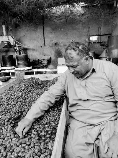 Egypt - Siwa Oasis - Siwa Oasis Tour from Cairo, Egypt. - 8