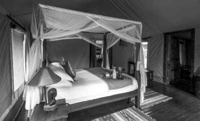 Kenia - Masai Mara National Reserve - Kenya Adventure Safari + Beach Stay (private room fits 1 pax) - 1