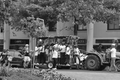 Südafrika - Stellenbosch - Südafrika: das Kap und der Wein - Degustationsreise kurz vor Weihnachten - 8