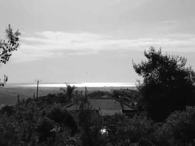 Cyprus - Psevdas - Explore Cyprus with an insider: Tours, Beach, Wellness and a taste of Movida! - 1