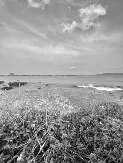 Sri Lanka - Unawatuna - Discover the Best of Sri Lanka: A One-Week Round Tour of Cultural Heritage, Nature, and Adventure - 5