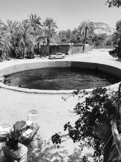 Ägypten - Siwa Oasis - The Pyramids and beyond: from Cairo to remote Siwa oasis in the Western Desert - 3