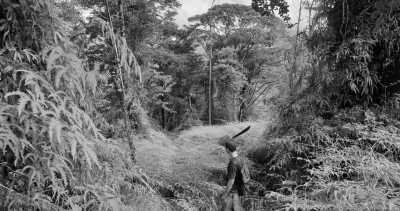 Costa Rica - La Gamba centro - Co-working und Volunteering im Regenwald Costa Ricas - 15