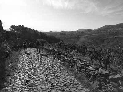 Portugal - Sabrosa - Wine, Nature, Hiking and Kayaking in the World Heritage Region of the Douro Valley, Portugal