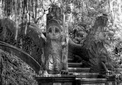 Indonesia - Monkey Forest - Bali with Ashley Sellers - 1