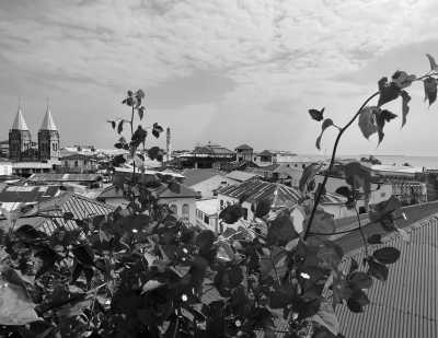 Tanzania - Stone Town - Zanzibar Coworking Experience: Your Journey Starts Here - 1