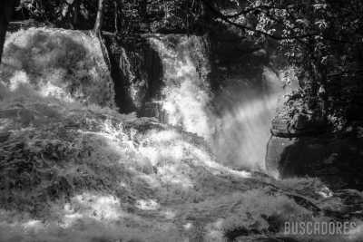 Brazil - Presidente Figueiredo - Amazon Expedition: 7-days immersion with a riverside family in the Amazon. - 3