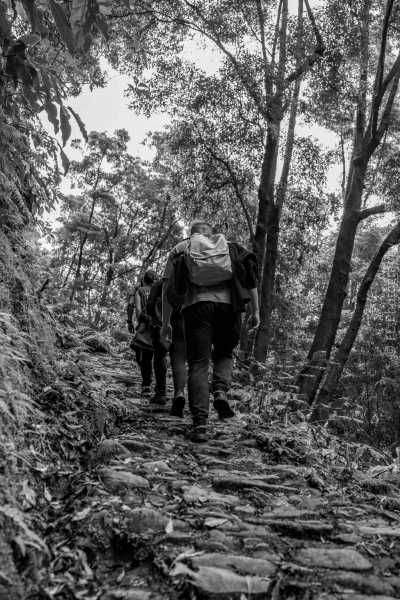 Portugal - Faial da Terra - Azores Nature Immersion 🥾 - 1
