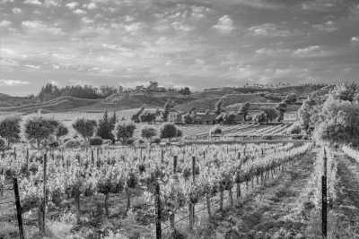 Americas - Temecula - San Diego Holidays - Water Adventure Sports and Wine Tasting