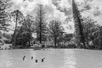 Portugal - Furnas - Azores Ocean Expedition - whale and dolphin watching, the twin lakes and thermal baths - 2