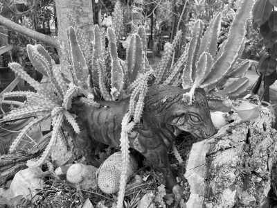 Mexico - Oaxaca - DAY OF THE DEAD AT OAXACA - 64