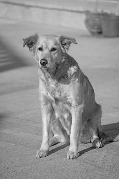 Ägypten - جبل الطويلات - Desert to Sea: A Journey Through Dahab's Hidden Treasures - 9