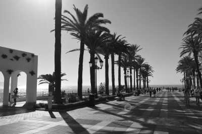 Spain - Centro - AUTHENTIC sunny Málaga: Local flavours • Sunny Beaches • Pádel class • Scenic viewpoints (Private Rooms)☀️🏸🥘 - 12