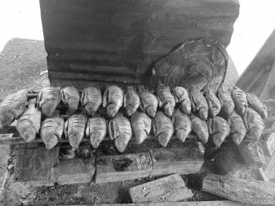 Colombia - Puerto Asís - 7-days Ayahuasca Retreat in Putumayo, Colombia with the Cofan Tribe - 2