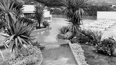 Portugal - Caniço - 2 Weeks Madeira 🌴 CoLiving & CoWorking 💻 with private studio flat - 6