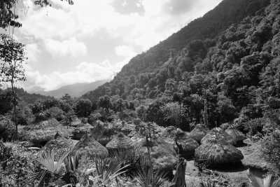 Colombia - Mingueo - Magic Santa Marta Cacao Trip - Authentic Colombia (Spanish Only)