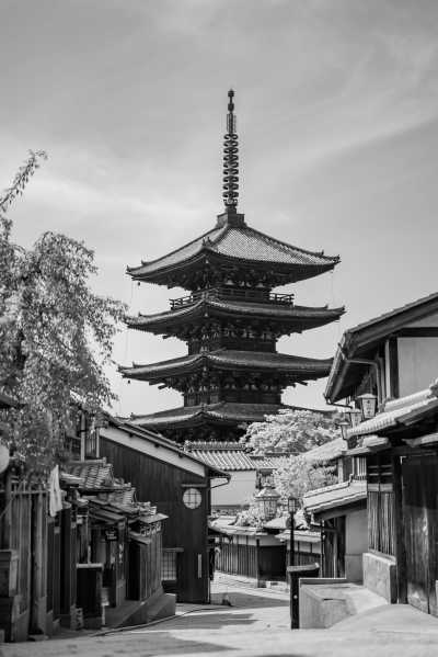 Japan - Kyoto - Unlock Japan's Wonders: Join the Ultimate Osaka CoWorking Journey (Private Room) - 4