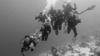 Indonesia - Kri - Raja Ampat & Komodo - Schnorcheln oder Tauchen in Indonesien - 3