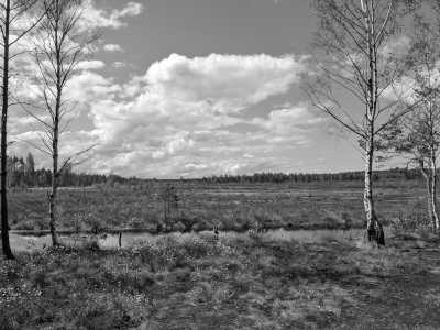 Northern Europe - Nationalpark Ķemeri - Discover the Baltic States: Tallinn, Riga, Vilnius and Much More! - 3