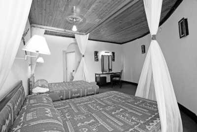 Tansania - Tarangire National Park - Tanzania Safari - Single Private room (1pax) - 4