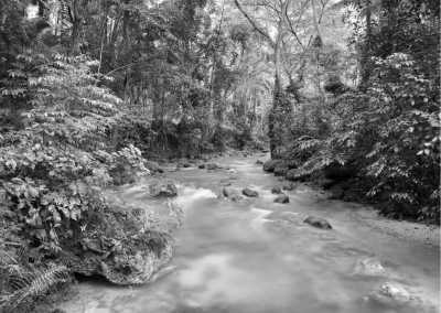 Philippines - Discover the Beauty of South Luzon's Tropical Rainforests: Your Tropical Getaway Near Manila, Philippines - JoinMyTrip