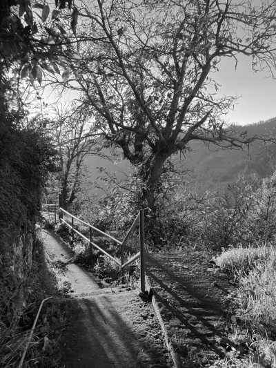 Portugal - Boca da Encumeada - Modern, Spacious & Beautiful Coliving Villa in prime location - Funchal, Madeira | Adventure, Nature and Fun on the Dream Island of Madeira 🌴 (Large Private Double Room with Queen Size Beds) - 3