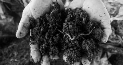 Costa Rica - La Gamba centro - Coworking or Volunteering from/in Costa Rica - 16