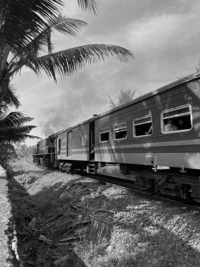 Sri Lanka - Ella - Kurztrip nach Ella, Sri Lanka - Udawalawa Nationalpark, Little Sigiriya und Mehr! - 4