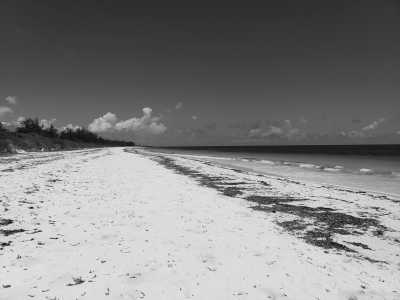 Kenya - Watamu - Explore the Kenyan Coast - 2