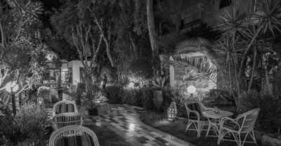 Ägypten - Luxor - Egypt: Horse Riding Adventures in Luxor - 4