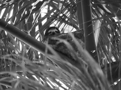 Panama - Calzada de Amador - Co-Working Endless Summer ☀️Panama City 🏝️🏝️Central America 3 weeks