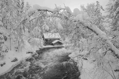 Finland - Oulanka National Park - Journey into Lapland’s pristine nature: drums, land journeys, silence and connection